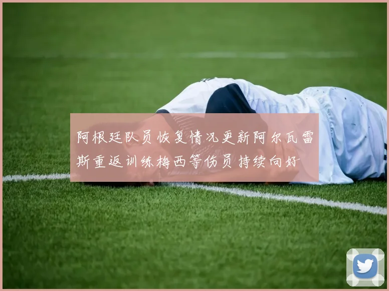阿根廷队员恢复情况更新阿尔瓦雷斯重返训练梅西等伤员持续向好