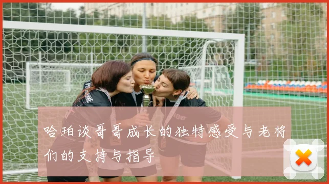 哈珀谈哥哥成长的独特感受与老将们的支持与指导