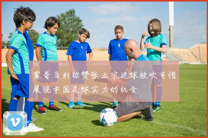 蒙哥马利称赞张玉宁进球被吹可惜展现中国足球实力的机会