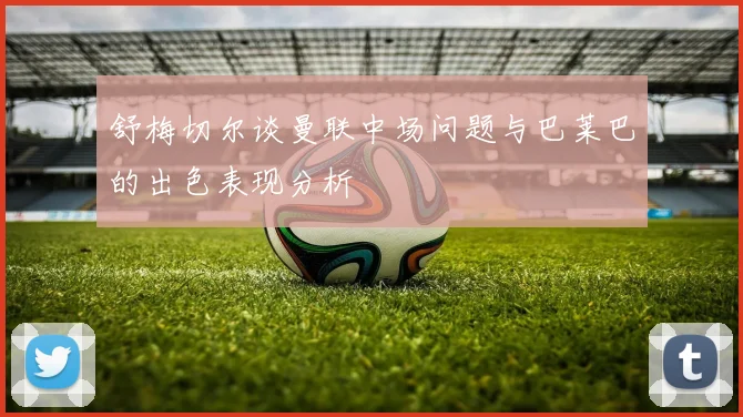 舒梅切尔谈曼联中场问题与巴莱巴的出色表现分析