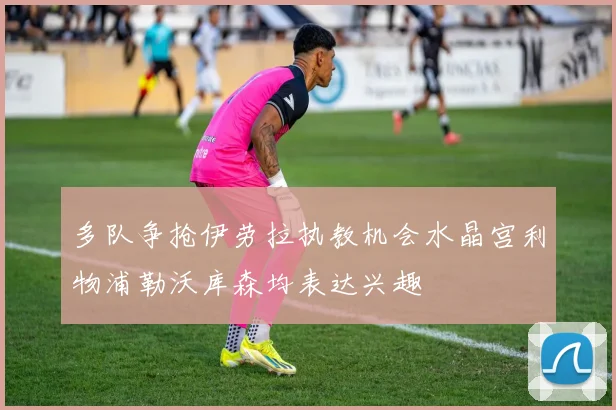 多队争抢伊劳拉执教机会水晶宫利物浦勒沃库森均表达兴趣